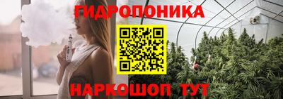 ECSTASY Кулебаки