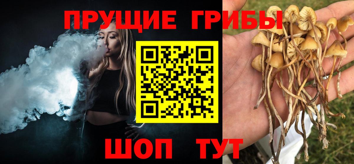 Галлюциногенные грибы GOLDEN TEACHER  Вход с VPN  Галлюциногенные грибы Cubensis  Химки 